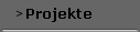 Projekte